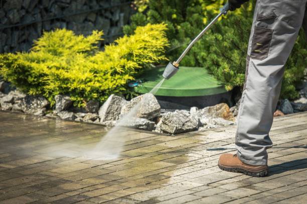 Best Gutter Cleaning  in Muncie, IN